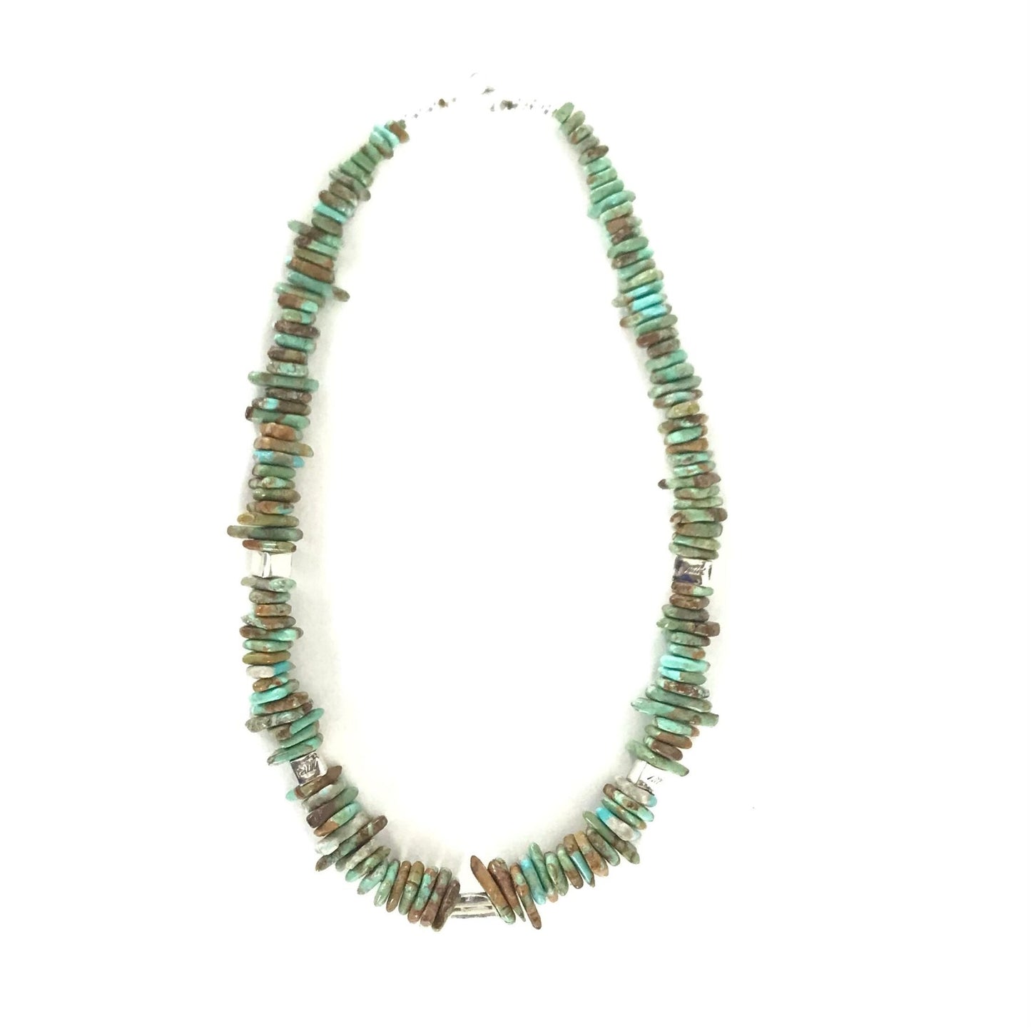 Nick Rosetta Carico Lake Turquoise Nugget Necklace-Indian Pueblo Store