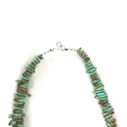 Nick Rosetta Carico Lake Turquoise Nugget Necklace-Indian Pueblo Store